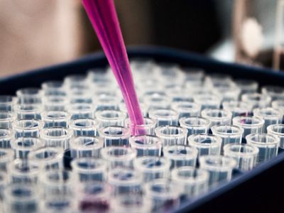 Wie schnell alterst du? Epigenetische Tests erklärt