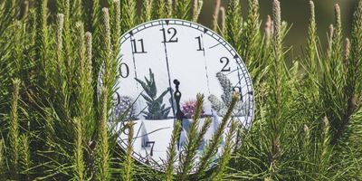 Biologisches Alter vs. tatsächliches Alter: Was Biomarker wie GrimAge, PhenoAge und DunedinPace wirklich aussagen