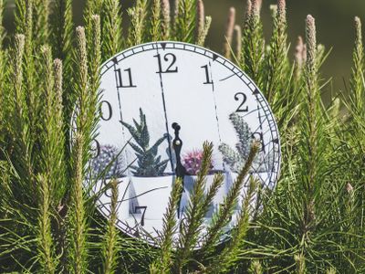 Biologisches Alter vs. tatsächliches Alter: Was Biomarker wie GrimAge, PhenoAge und DunedinPace wirklich aussagen