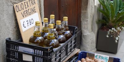 Ist Olivenöl wirklich gesund? Was die Wissenschaft tatsächlich sagt